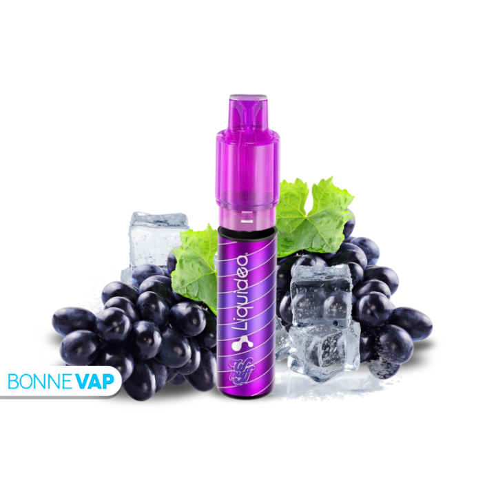 Starter Raisin Glacee - FUSION POD