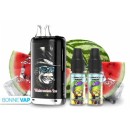 PUFF KONG MAX PASTEQUE GLACEE | 30 000