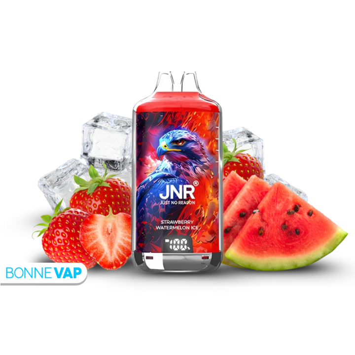 Puff  Strawberry Watermelon Ice - JNR X Falcon