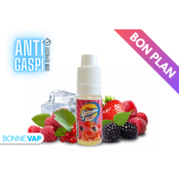 CONCENTRE RED FRUITS SUNLIGHT 10ML [DDM DEPASSEE]