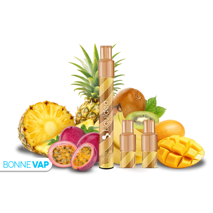 Starter Puff Panik Nan Tropik - WPUFF 2.0