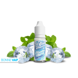 Menthe Fraîche 10ml "Sels" - Wsalt Flavors