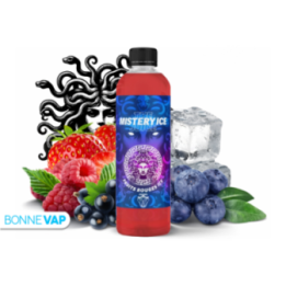 The Mistery Ice Juice 500ml - The MDS Juice